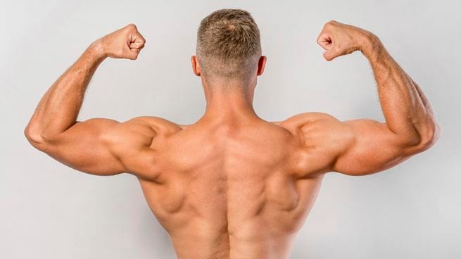 Steroids: Understanding Their Use and Impact